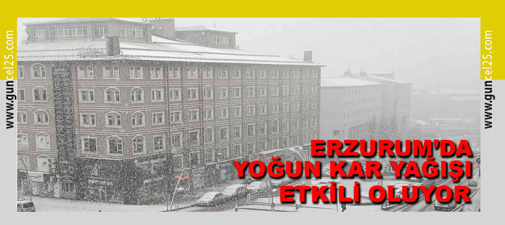 Erzurum'da Yoğun Kar Yağışı Etkili Oluyor